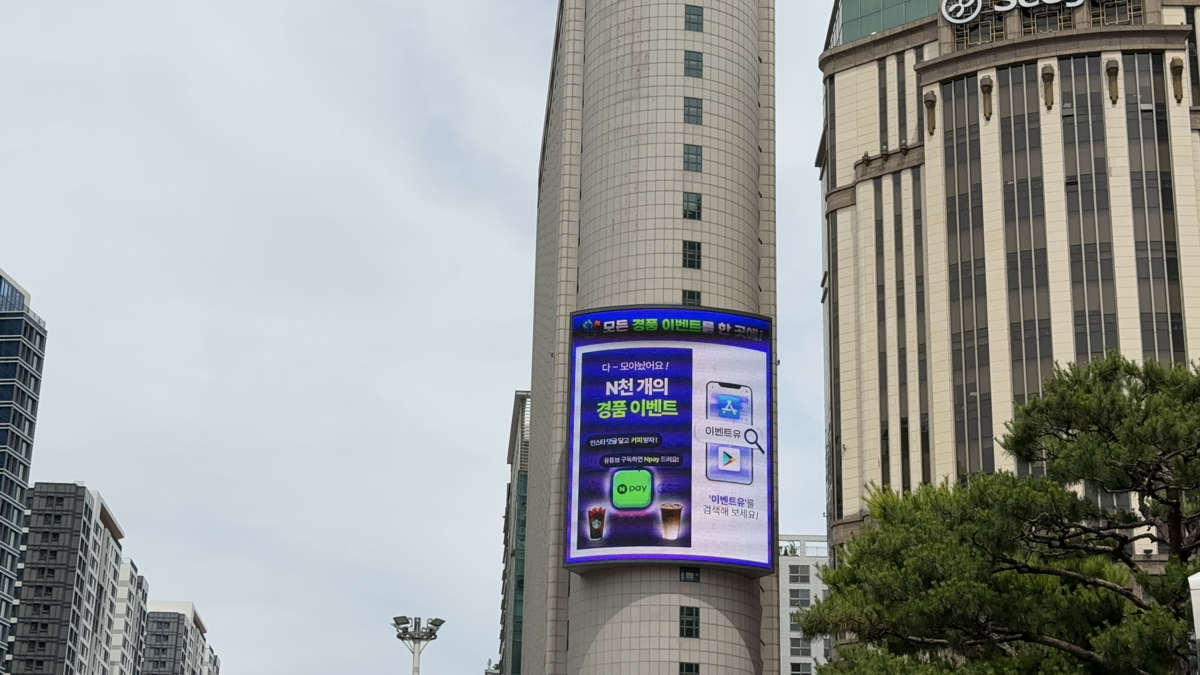 집행사례